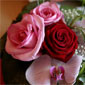 composition florale
